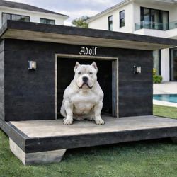 Dog House