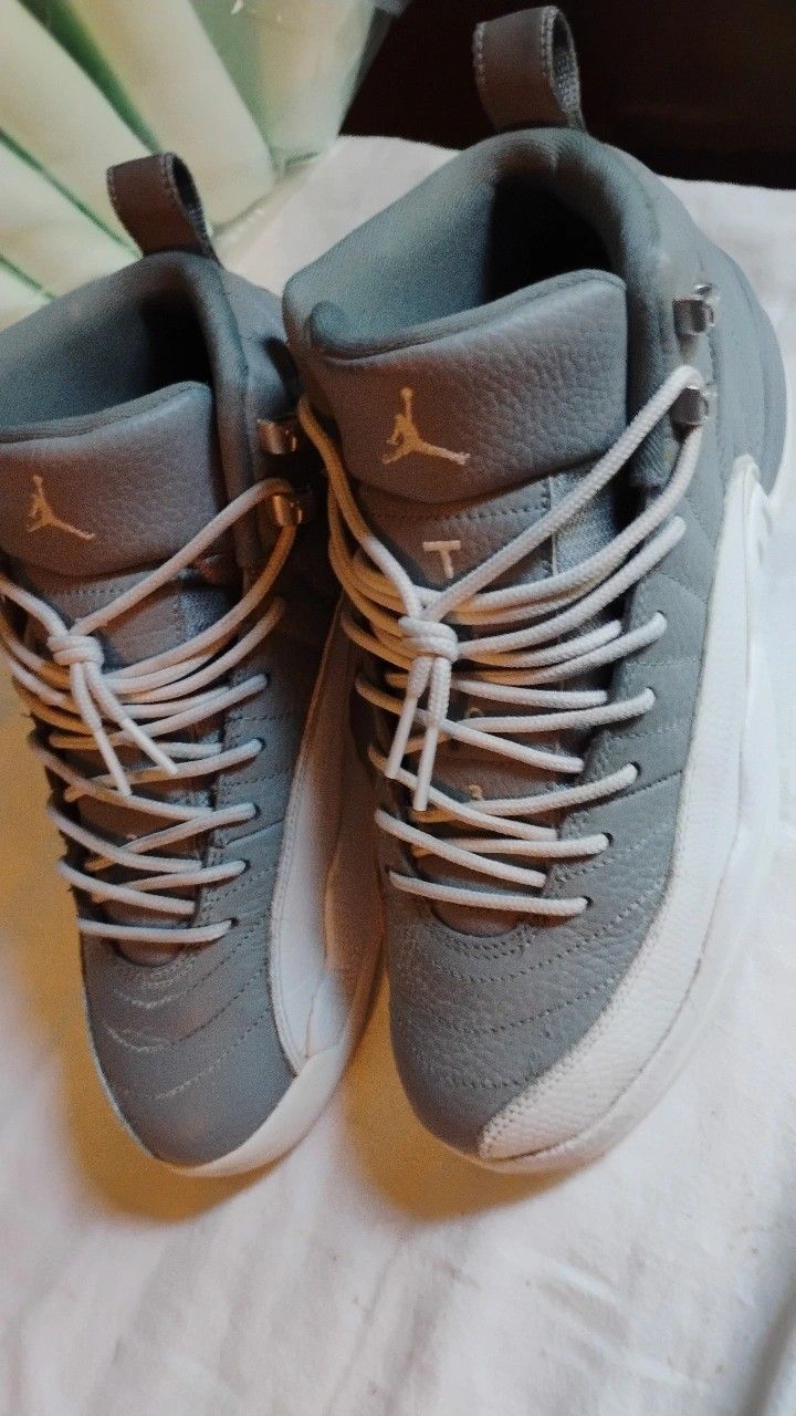 Jordan 12s