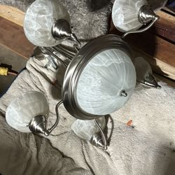 Living Room  & hallway Ceiling Light