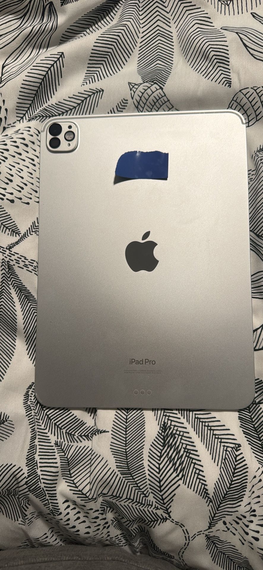 Ipad Pro 2024