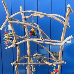 African Grey / Amazon MUST HAVE … Parrot Perch Tree to Ensure No Cage Bound Issues - Lots Natural Perch Fun … ❤️