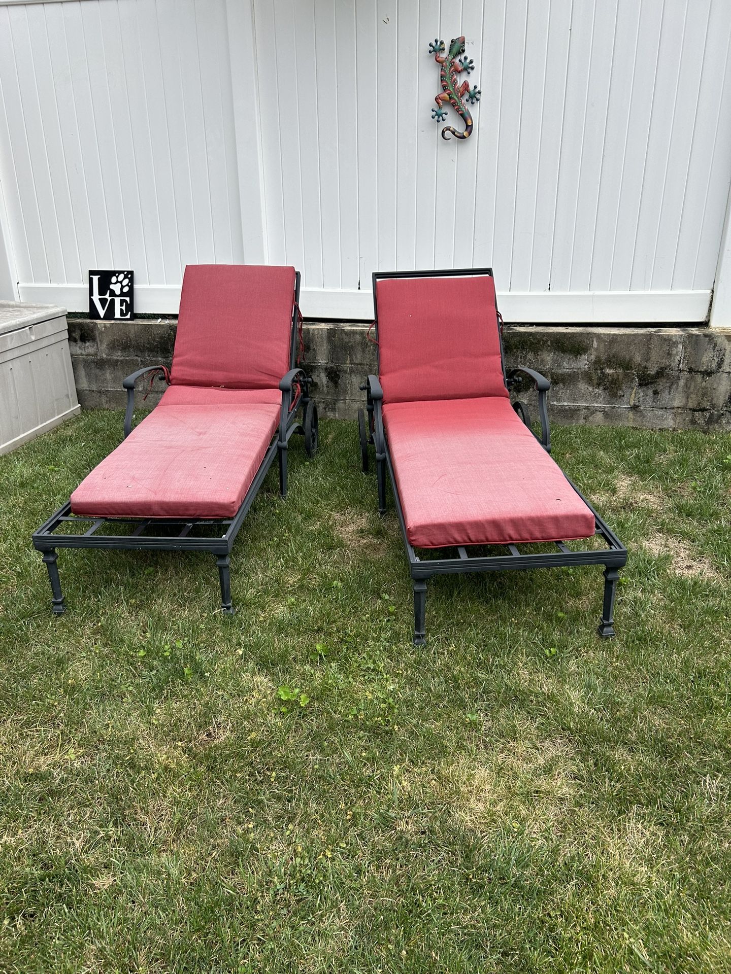Back yard Lounge Chairs 