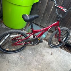 16 Inch Bike 