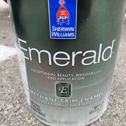 SW 7004 Snowbound Emerald Urethane Trim Semi Gloss