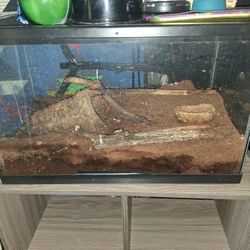 Tank
