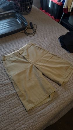 Dickie Shorts
