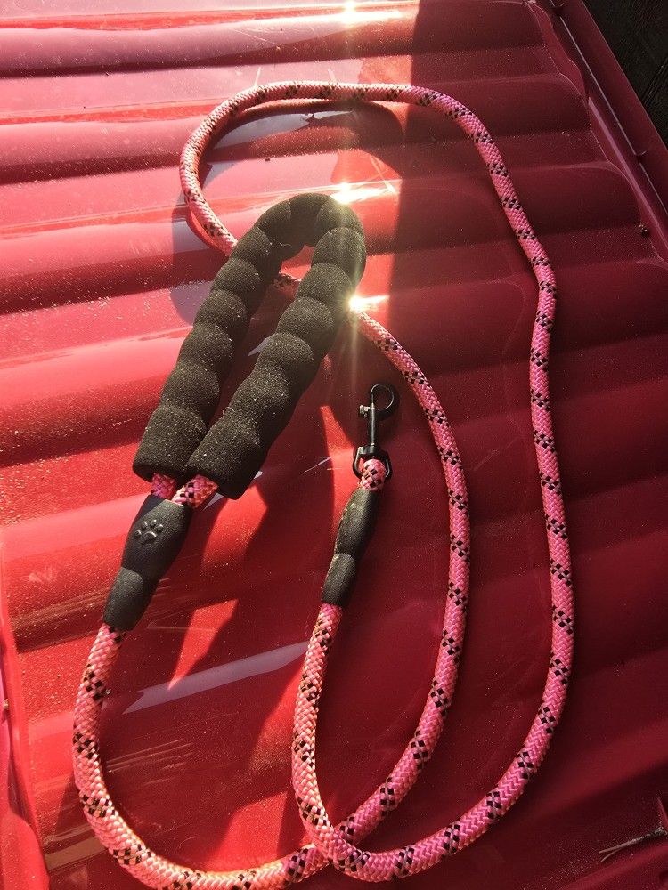 Dog Leash