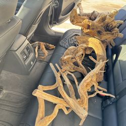 Natural Driftwood