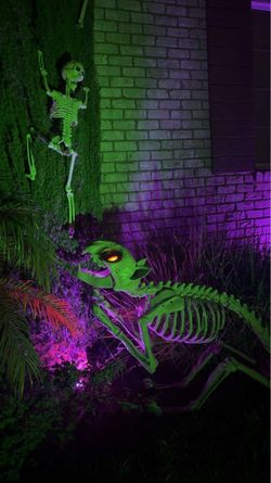 5 ft. Long Grave  Bones LED Skelly's Cat