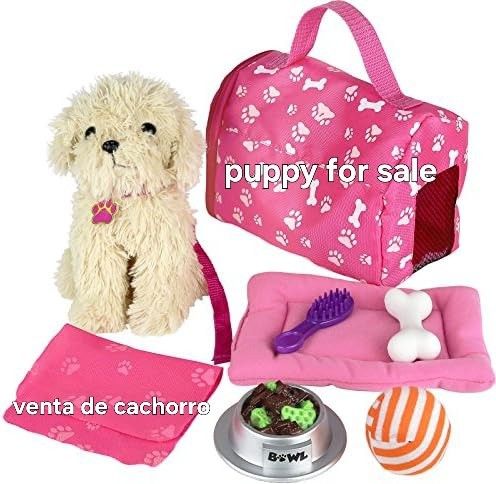 2 Months Puppy Pad Toy