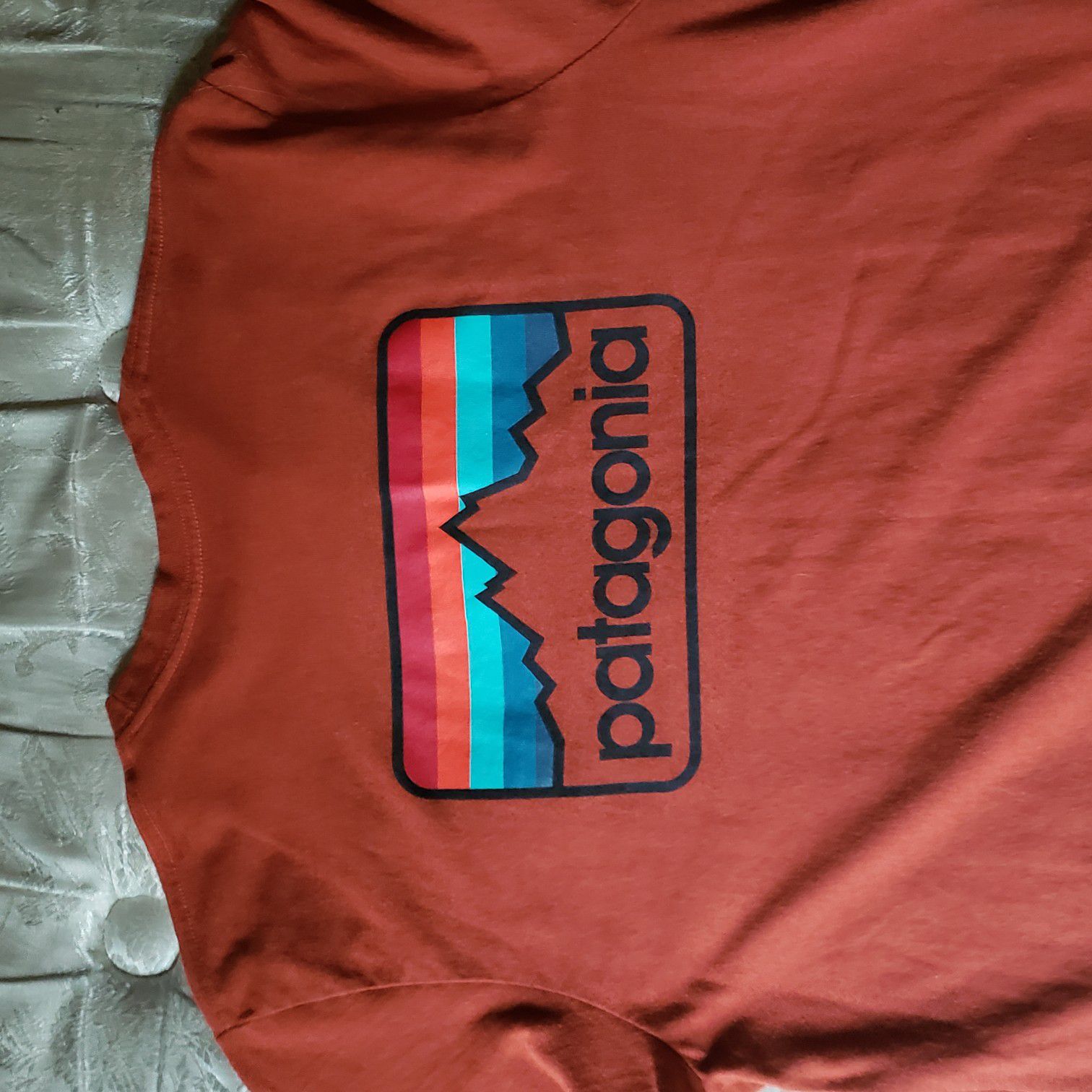 Patagonia tshirt