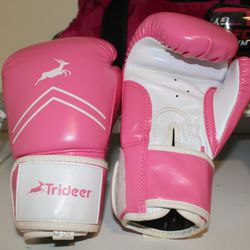 Boxing Gloves And Assorted Items 