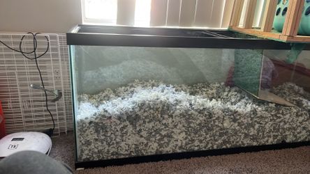 50 Gallon Tank