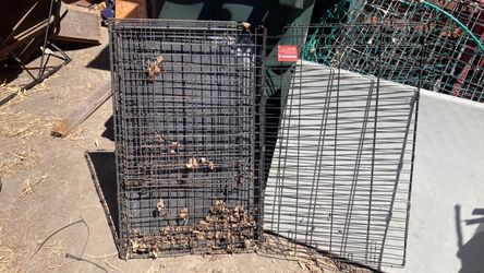 Large Wire Dog Crate