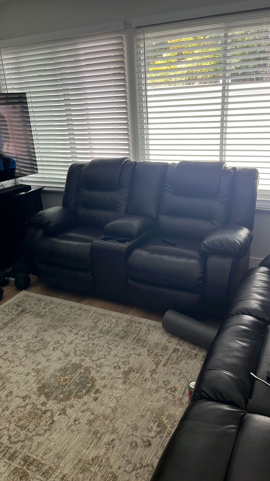 Loveseat Recliner