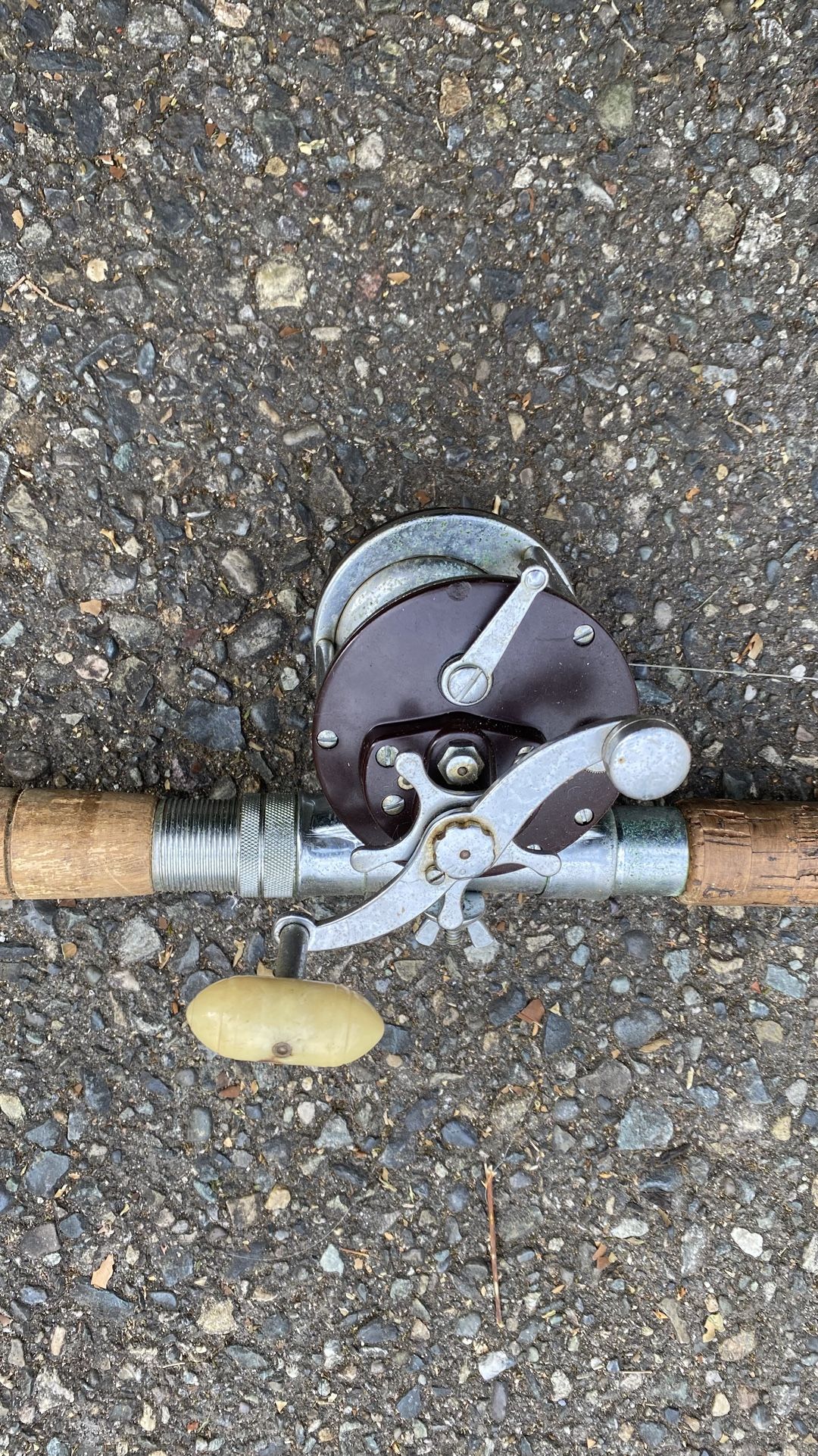 Fishing Rod With Penn Peer Reel - LOOK!