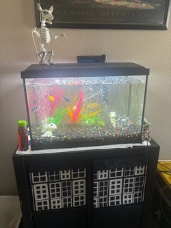 20 galloon Fish Tank