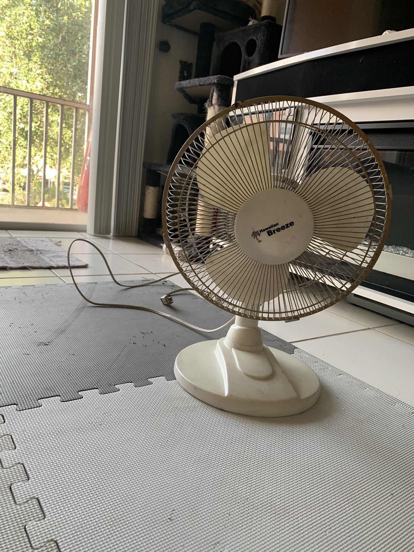 Fan $5 perfect condition, just its old.