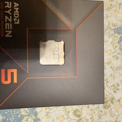 AMD RYZEN 5 7600X