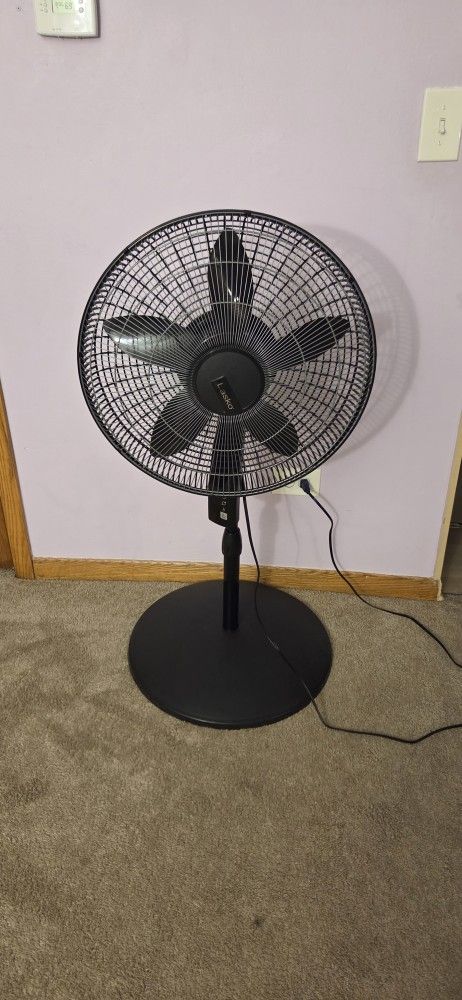 Stand Fan