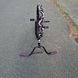 Cult Access Bmx 2024