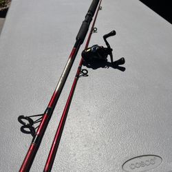 Penn Master spectra 7’ Pole And Baitcaster Pro Qualifier Reel