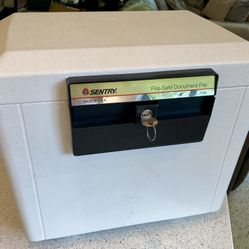 Sentry 2190 Fire-Safe Document Box