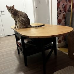 Foldable Coffee table $30 OBO