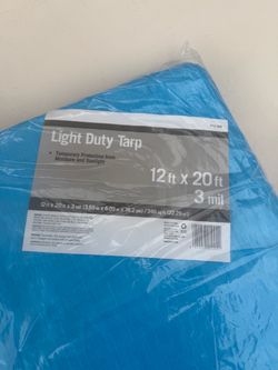 Tarp