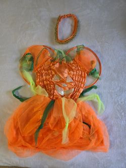 Pumpkin 🎃 Pie Costume Size Small 