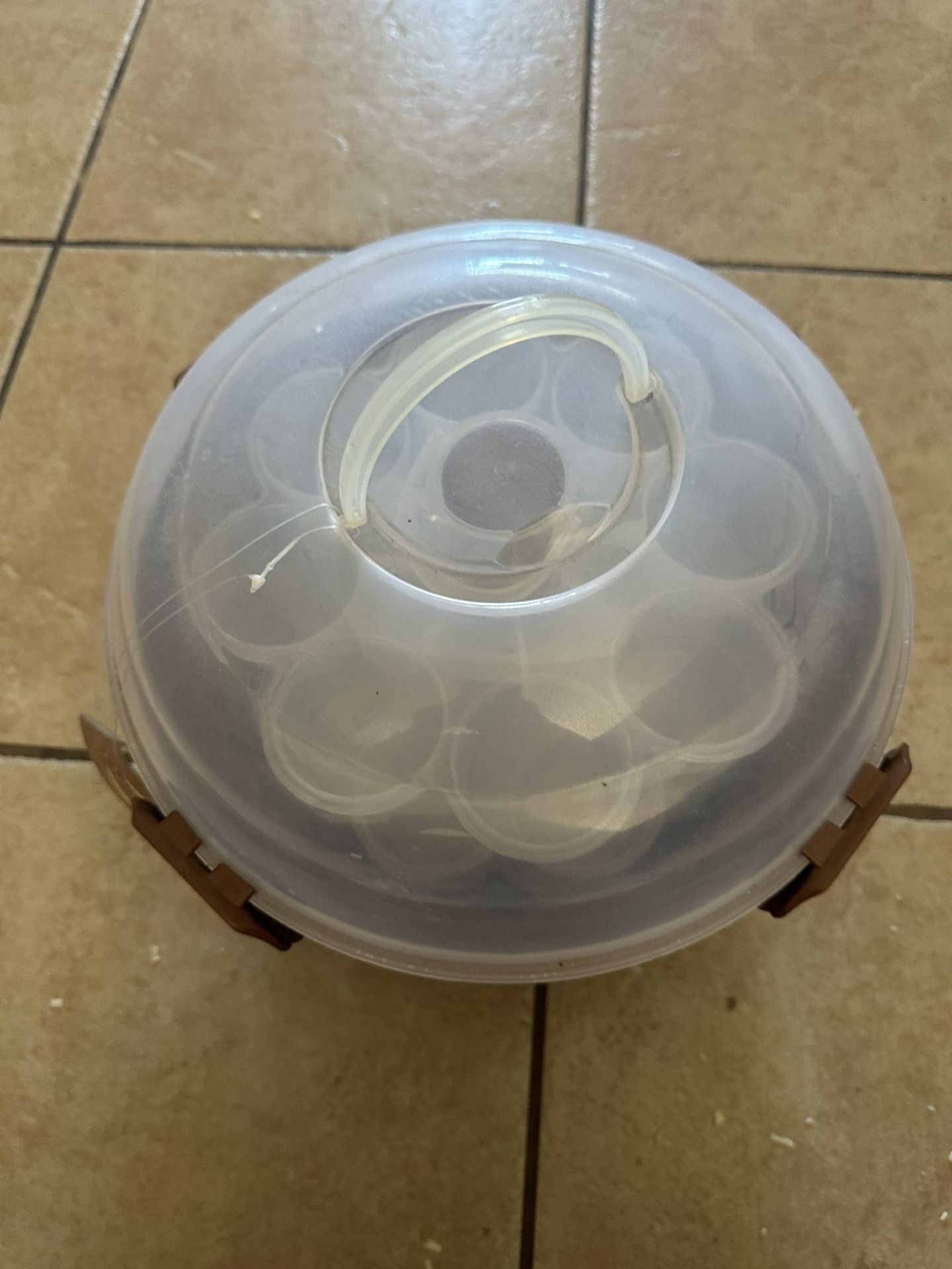 Cup Cake Holder
