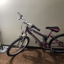 Mountain Bike Purple 24 Inch