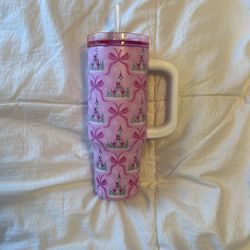 Disneyland Tumbler