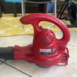 Electric Blower