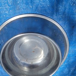 Dog Bowl