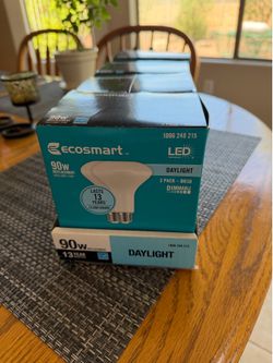 EcoSmart 90 watt daylight flood lights