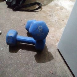Pair Of 8 Pound Weights 