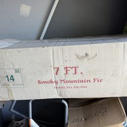 Smoky Mountain Fir