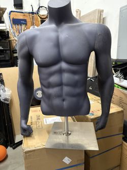 ATHLETIC MALE MANNEQUIN TORSO