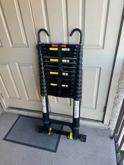 19ft Telescoping Ladder