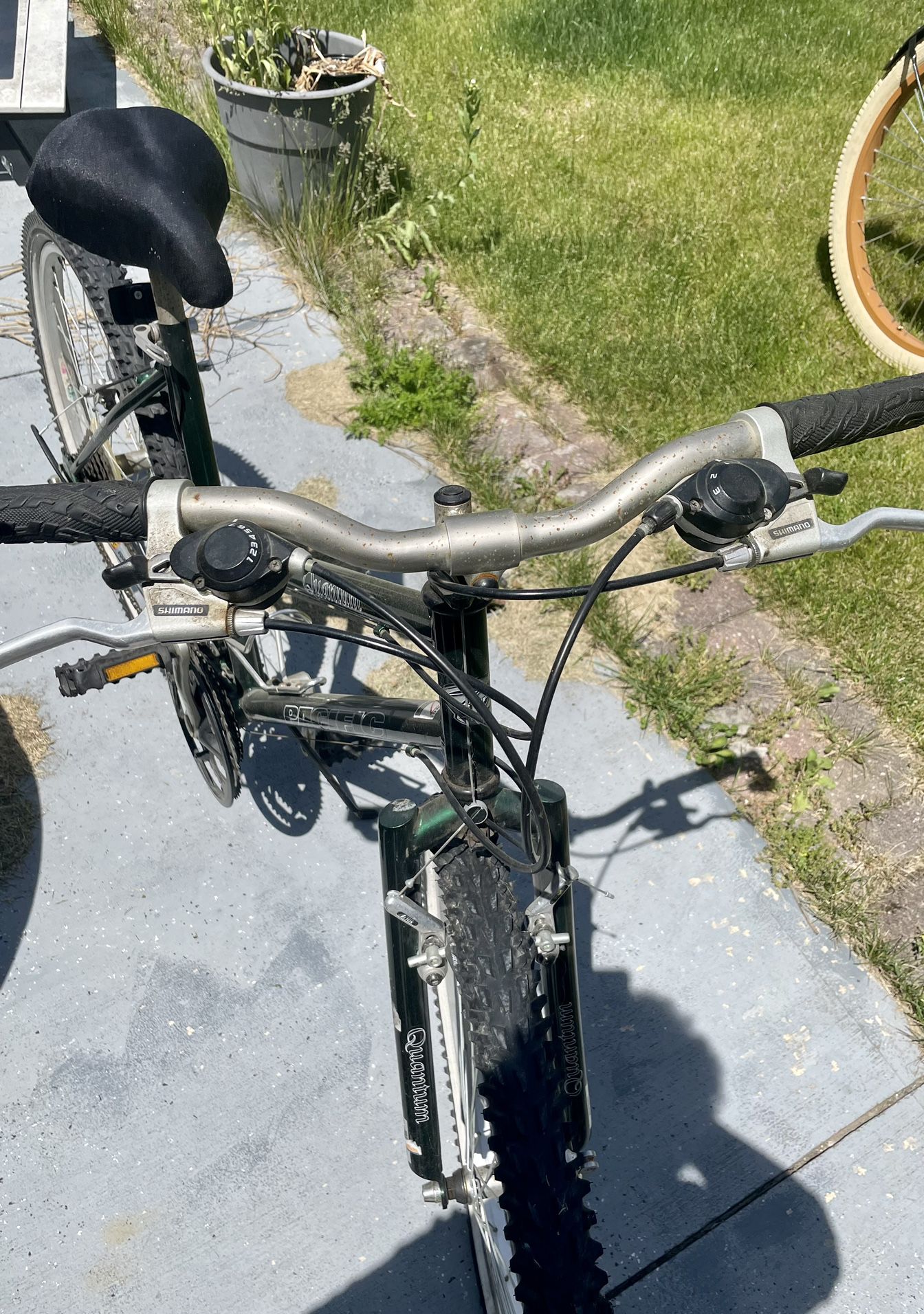1 Adult Green Mountain Bike 