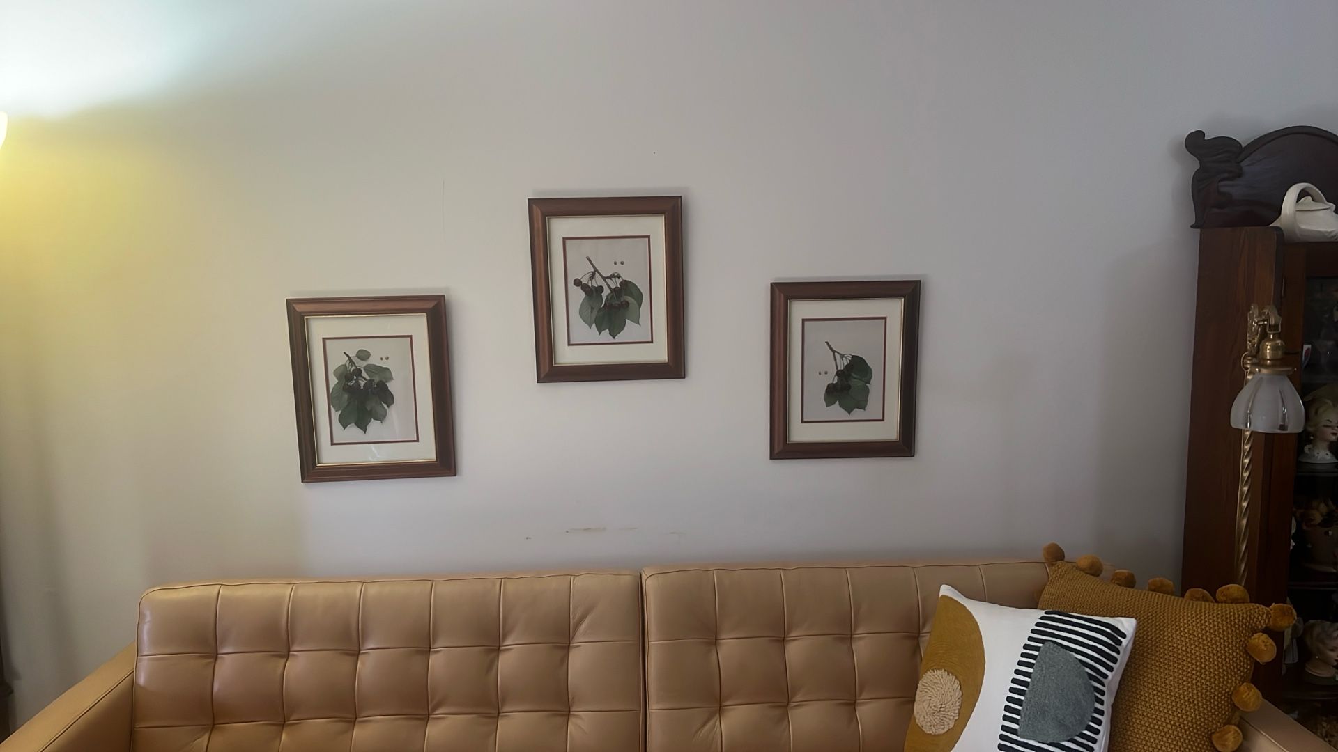 3 Frames Botanicals - American Cherry