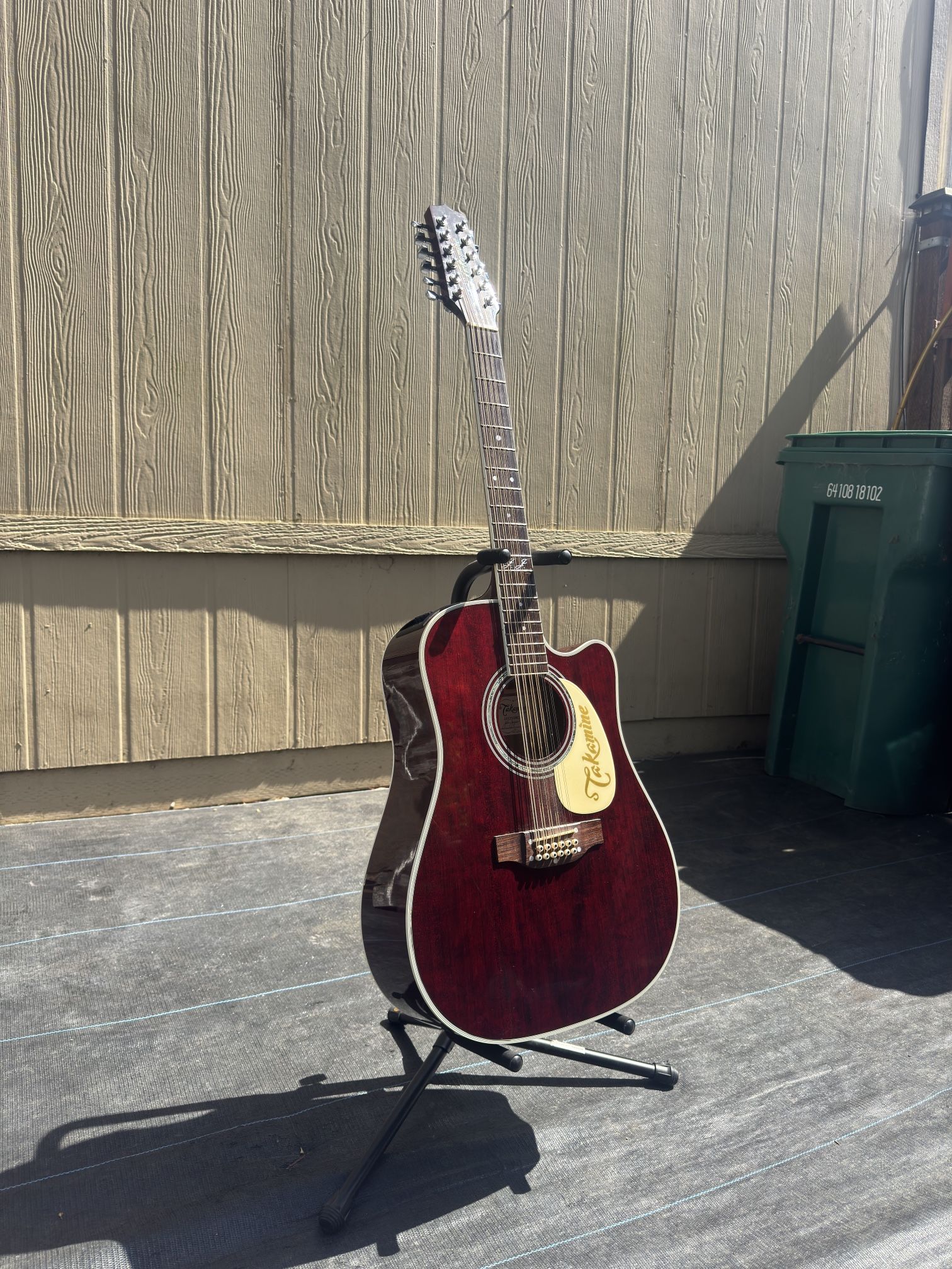 Takamine JJ 12 String