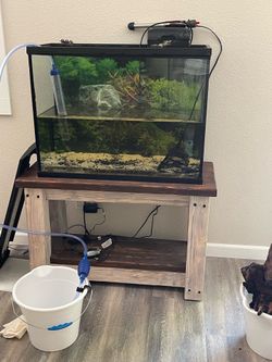 Free 37 gallon with hood filter and heater.
