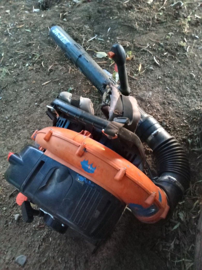Echo Leaf Blower (Large)