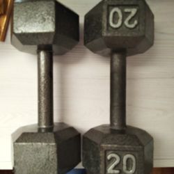 Dumbbells Set 20 Pounds 