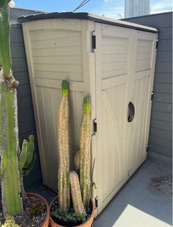 Storage Shed