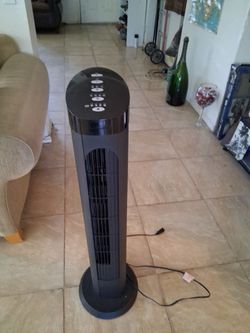 Standing Fan