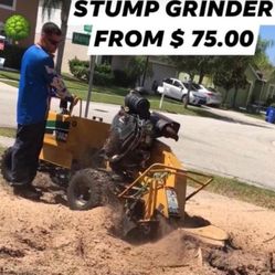 Stump Grinder 