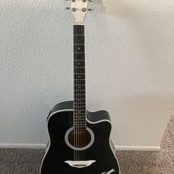 Esteban crystal heart electric acoustic guitar with Case like new